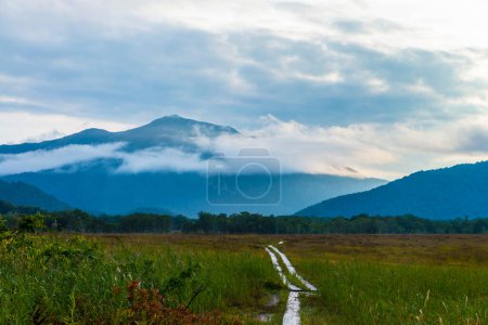 Téléchargez les photos : Montagne et brouillard nuageux le matin. - en image libre de droit