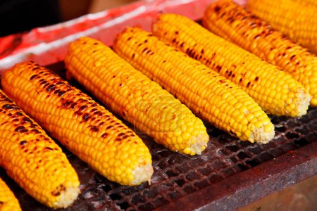 corn cobs on the grill