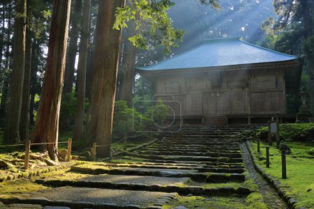 Photo for Scenic shot of ancient japanese temple in beautiful misty green forest - Royalty Free Image