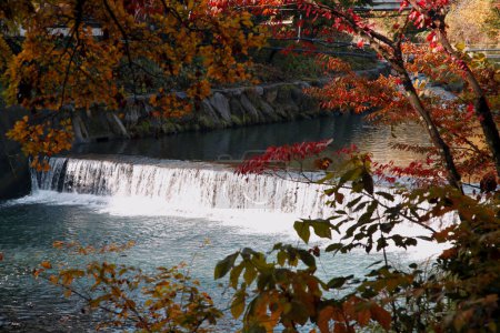 Téléchargez les photos : Belle vue sur la rivière dans le parc - en image libre de droit