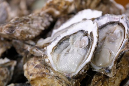 Photo for Oysters, close up view, selective focus - Royalty Free Image