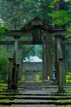 Photo for Scenic shot of ancient japanese temple in beautiful misty green forest - Royalty Free Image