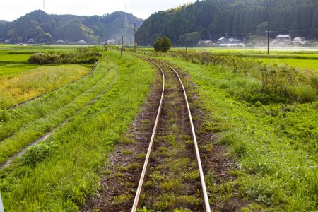 Téléchargez les photos : Vieilles voies ferrées dans une forêt sur fond - en image libre de droit
