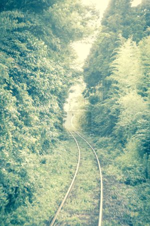 Téléchargez les photos : Vieilles voies ferrées dans une forêt, paysage rural - en image libre de droit