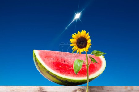 Photo for Watermelon and sunflower on the sky background - Royalty Free Image