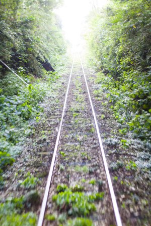 Téléchargez les photos : Vieilles voies ferrées dans une forêt, paysage rural - en image libre de droit