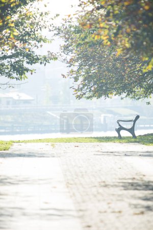Téléchargez les photos : Un banc de parc assis sur un sentier entre deux arbres - en image libre de droit