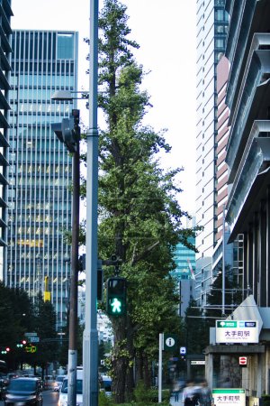 Foto de Una concurrida calle de la ciudad en Tokio - Imagen libre de derechos