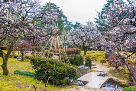 Photo for Japanese traditional garden "Kenrokuen" in Kanazawa, Japan - Royalty Free Image
