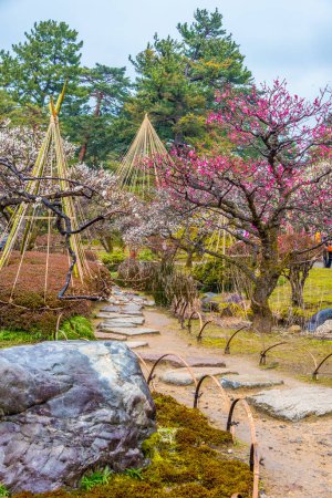 Japanese traditional garden "Kenrokuen" in Kanazawa, Japan