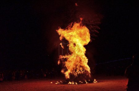 Téléchargez les photos : Feu brûlant dans la nuit sur fond de nature - en image libre de droit