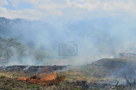 Photo for Fire in the forest with mountains - Royalty Free Image