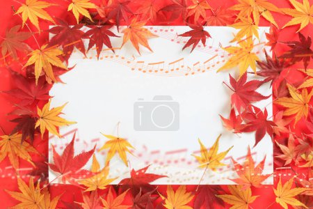 Téléchargez les photos : Feuilles d'automne et papier sur fond blanc. - en image libre de droit