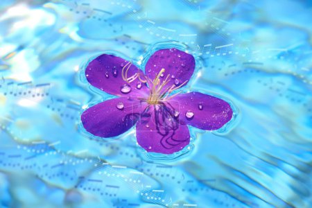 Téléchargez les photos : Fleur pourpre sur la surface de l'eau bleue - en image libre de droit