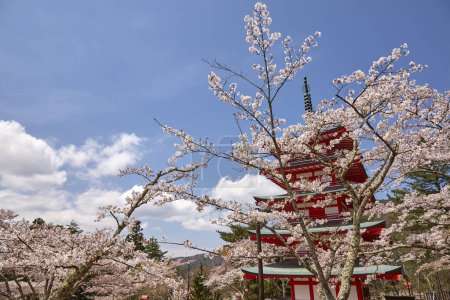 Fuji-san und Chureito-Pagode in Sakura, Yamanashi, Japan