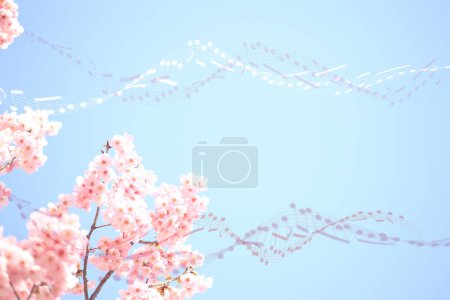 Téléchargez les photos : Belles fleurs de cerisier rose avec des notes musicales sur fond - en image libre de droit