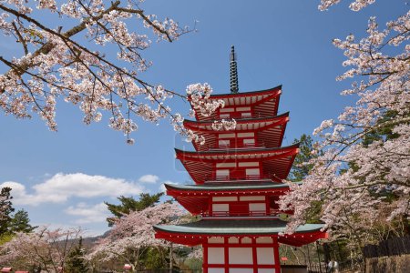 Foto de Pagoda Fuji-san y Chureito en Sakura, Yamanashi, Japón - Imagen libre de derechos