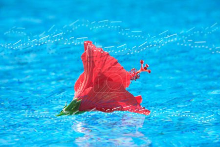 Téléchargez les photos : Fleur sur l'eau avec des notes musicales sur le fond - en image libre de droit
