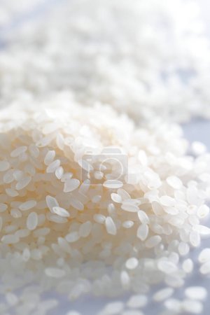 Foto de Vista de cerca del arroz blanco - Imagen libre de derechos