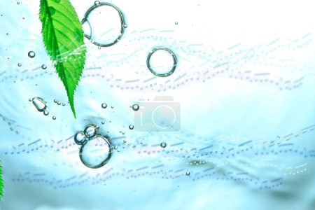 Téléchargez les photos : Gouttes d'eau sur feuille verte - en image libre de droit