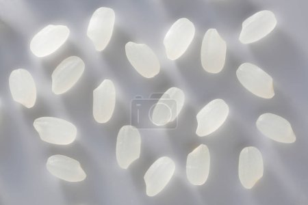 Photo for Background of white and black pebbles on white background. top view - Royalty Free Image