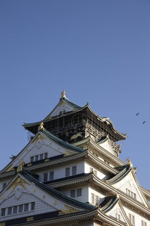 Téléchargez les photos : Belle architecture de la tour principale du château d'Osaka (Musée du château d'Osaka), Japon - en image libre de droit