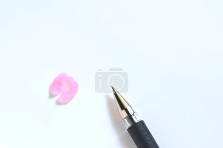 Téléchargez les photos : Stylo plume et pétale rose sur fond papier blanc, lettre avec espace de copie - en image libre de droit