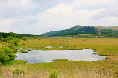 Téléchargez les photos : Beau paysage d'été avec rivière coulant le long de prairie herbeuse - en image libre de droit