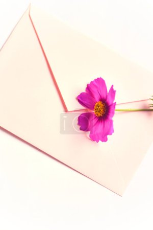 Foto de Sobre con una flor sobre un fondo blanco. Fondo floral de primavera para tarjeta de felicitación - Imagen libre de derechos
