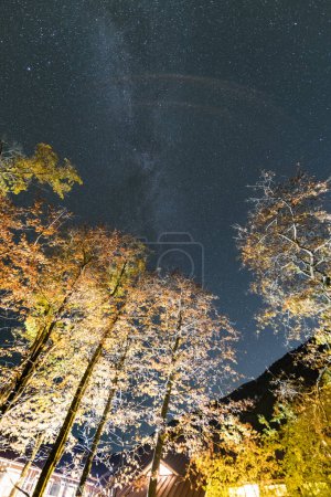 Téléchargez les photos : Ciel nocturne d'automne avec étoiles - en image libre de droit