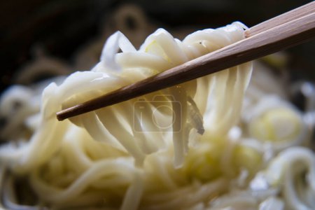 Photo for Asian food, Japanese noodles with onion - Royalty Free Image