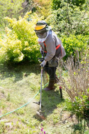 Foto de El jardinero cortando hierba por cortacésped, cuidado del césped - Imagen libre de derechos