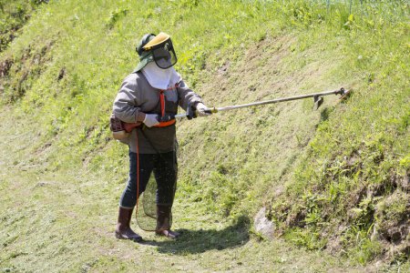 Téléchargez les photos : Le jardinier coupe l'herbe par tondeuse à gazon, entretien de la pelouse - en image libre de droit