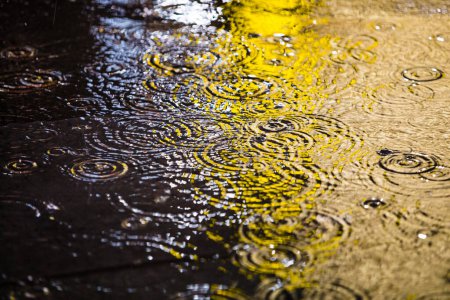 Téléchargez les photos : Route humide de la rue de la ville avec des gouttes de pluie la nuit - en image libre de droit