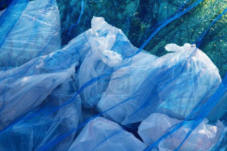 Foto de Bolsas de basura de plástico azul en el jardín - Imagen libre de derechos