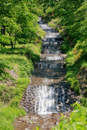 Téléchargez les photos : Belle vue sur la cascade dans la forêt dense d'été - en image libre de droit