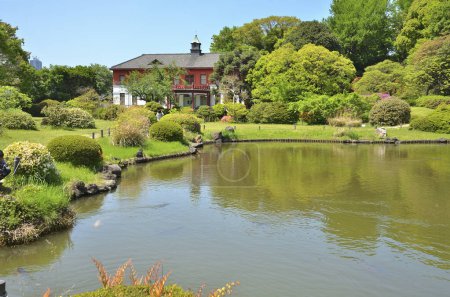 Koishikawa Botanical Garden, a botanical garden with an arboretum operated by the University of Tokyo Graduate School of Science. Tokyo, Japan