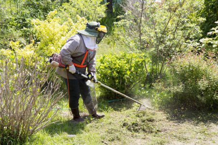 Téléchargez les photos : Le jardinier coupe l'herbe par tondeuse à gazon, entretien de la pelouse - en image libre de droit