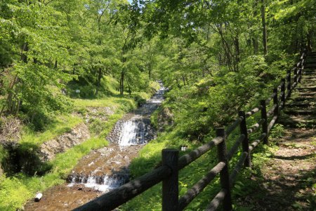 Téléchargez les photos : Belle vue sur la cascade dans la forêt dense d'été - en image libre de droit