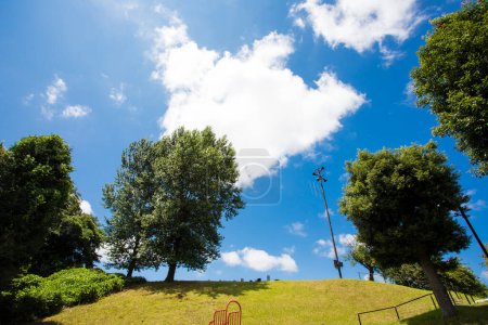 Téléchargez les photos : Arbres et ciel bleu dans le parc, fond nature - en image libre de droit