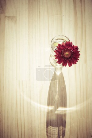 Foto de Vaso de agua con flor de herbera roja sobre mesa de madera - Imagen libre de derechos