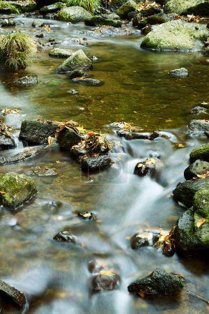 Téléchargez les photos : Rivière de montagne avec de nombreux rochers dans la forêt - en image libre de droit