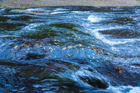 Téléchargez les photos : Belle vue sur la rivière rapide dans la forêt verte - en image libre de droit