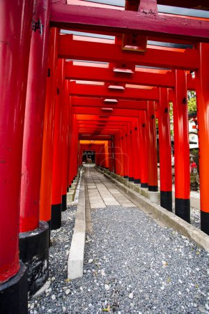 Photo for Fushimi Inari Shrine (Fushimi Inari Taisha) in Kyoto, Japan - Royalty Free Image