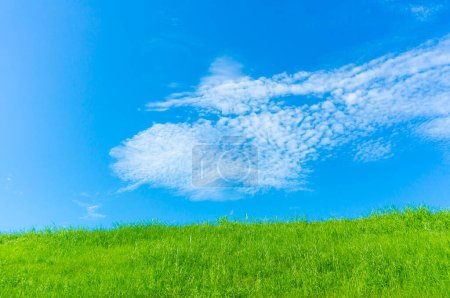 Foto de Hierba verde y cielo azul, paisaje soleado - Imagen libre de derechos