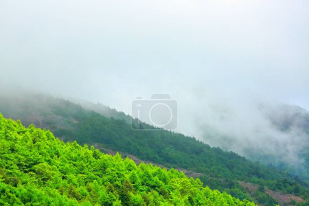 Téléchargez les photos : Paysage de montagne verte fraîche - en image libre de droit
