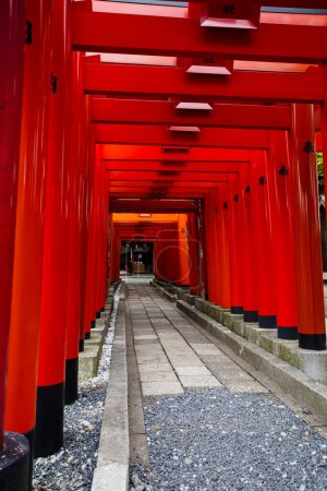 Photo for Fushimi Inari Shrine (Fushimi Inari Taisha) in Kyoto, Japan - Royalty Free Image