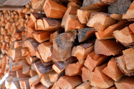 Photo for Pile of wood logs for background - Royalty Free Image