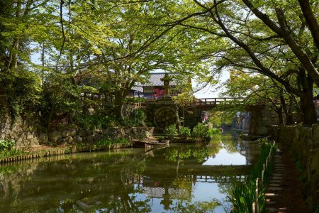 Téléchargez les photos : Vue des beaux arbres de printemps reflétés dans le canal au Japon - en image libre de droit