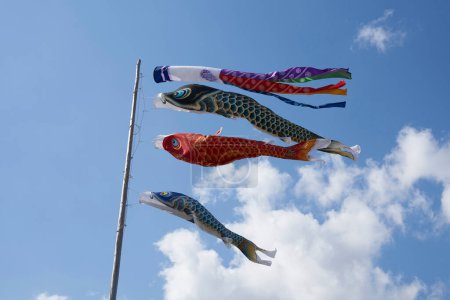 Koinobori, carp streamer, carp-shaped windsocks traditionally flown in Japan to celebrate Tango no sekku, a traditional calendrical event which is now designated as Children's Day (Kodomo no hi), a national holiday in Japan